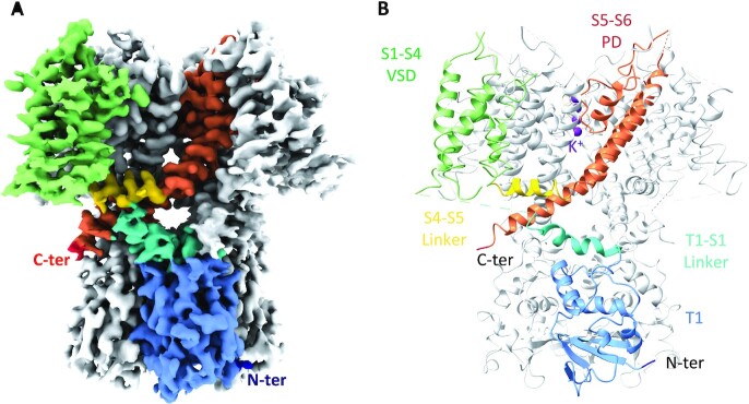 Fig. 1.