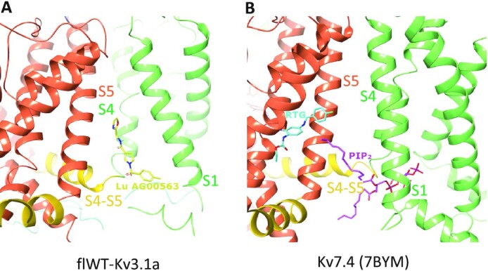 Fig. 4.