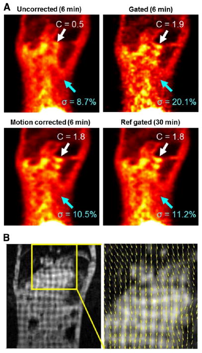 FIGURE 3