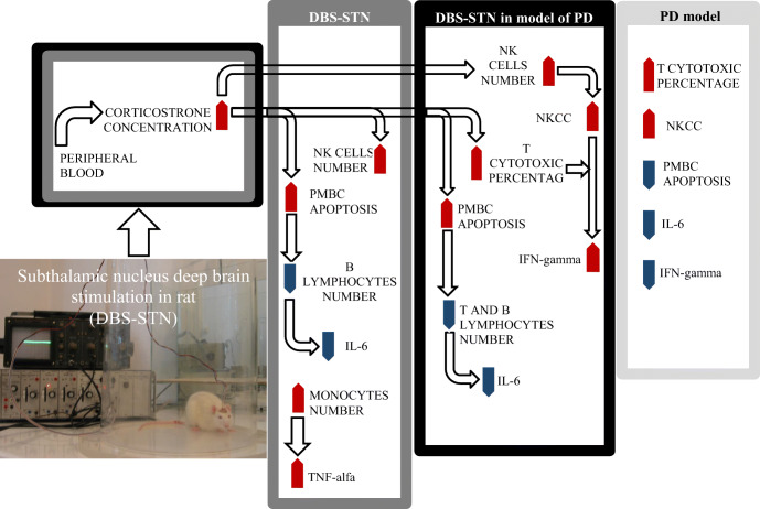 Graphical Abstract