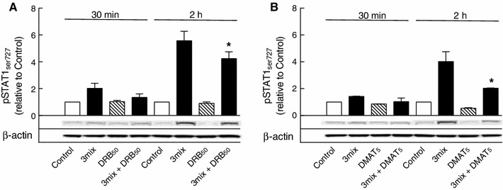 Fig. 9