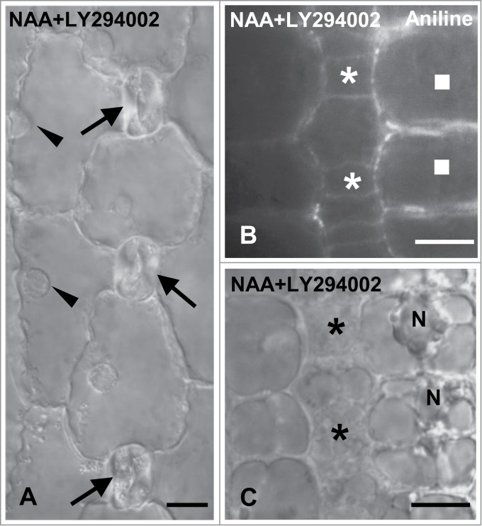 Figure 10.