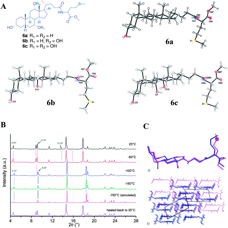 Fig. 9