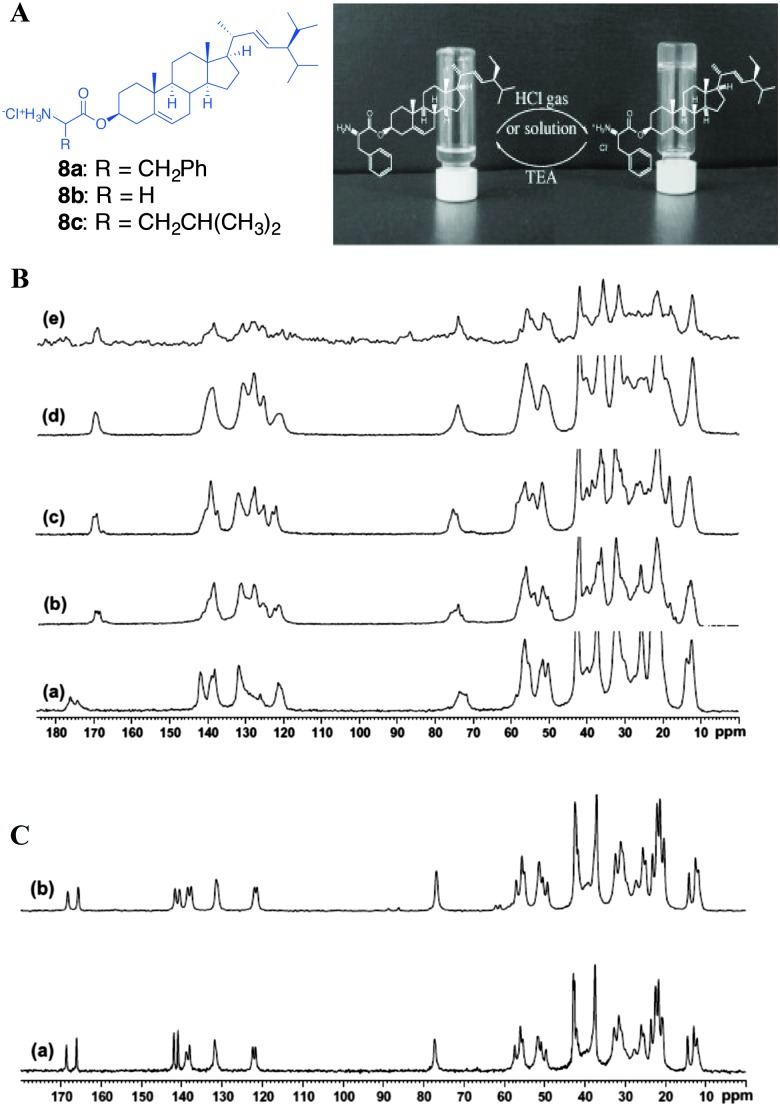 Fig. 12