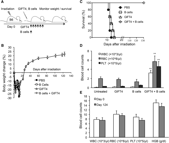 Figure 4