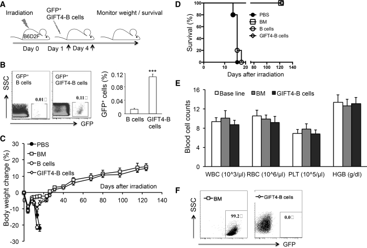 Figure 6