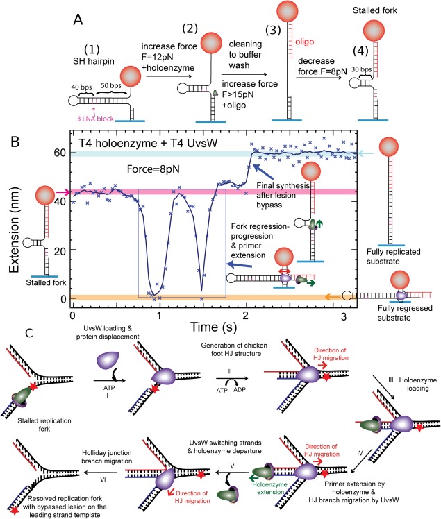 Figure 15