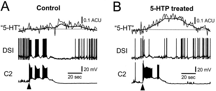 Fig. 9.