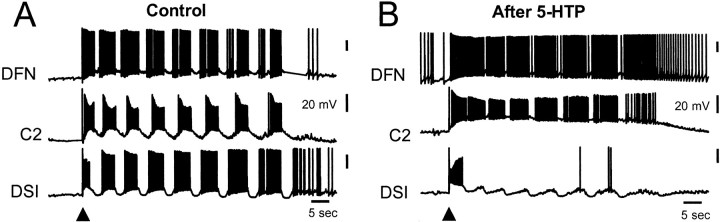 Fig. 7.