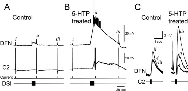 Fig. 5.