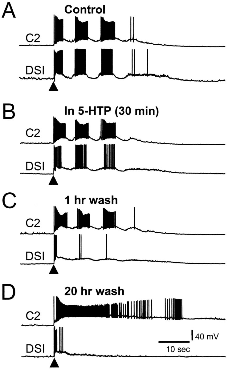 Fig. 8.