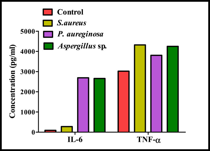 Fig. 6