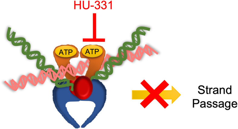 Fig. 2