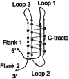 graphic file with name 41467_2024_50553_Taba_HTML.gif