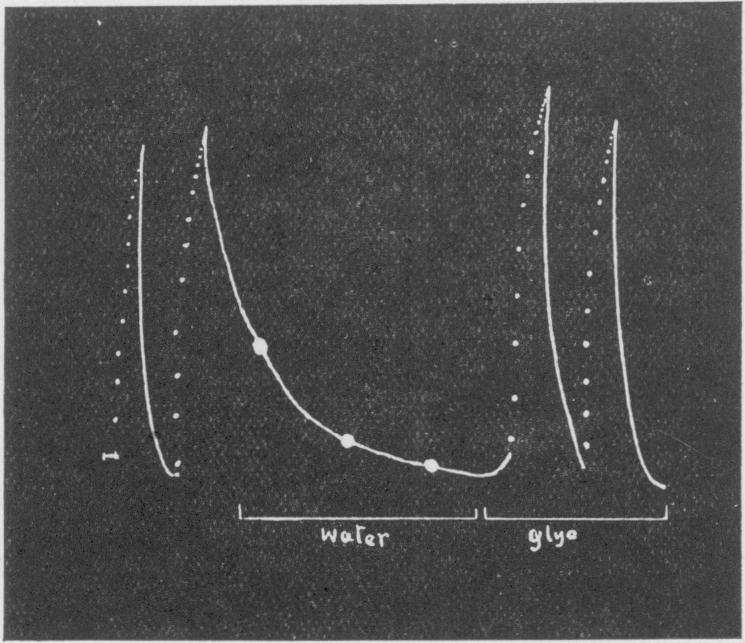 Fig. 17