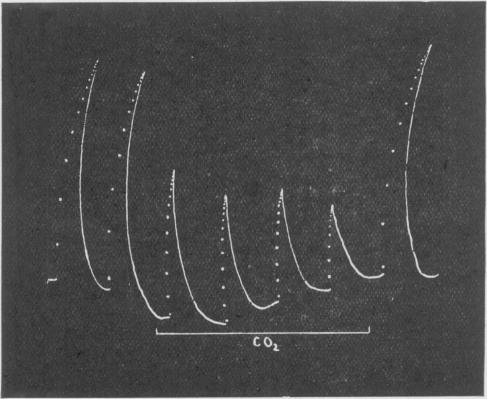 Fig. 15