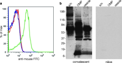 FIG. 1.