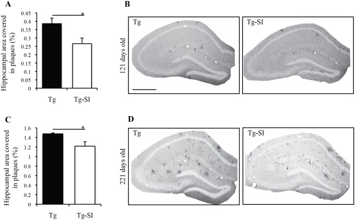 Fig 5