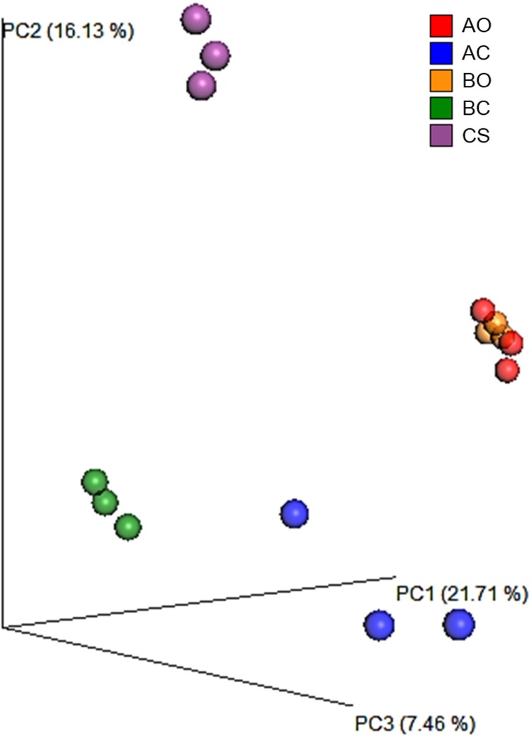 Fig 5