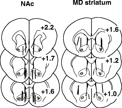 Fig. 6