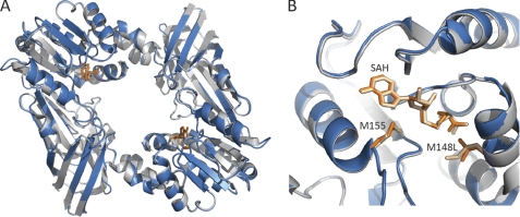 FIGURE 4.