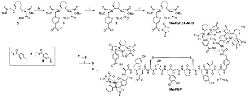 Scheme 2