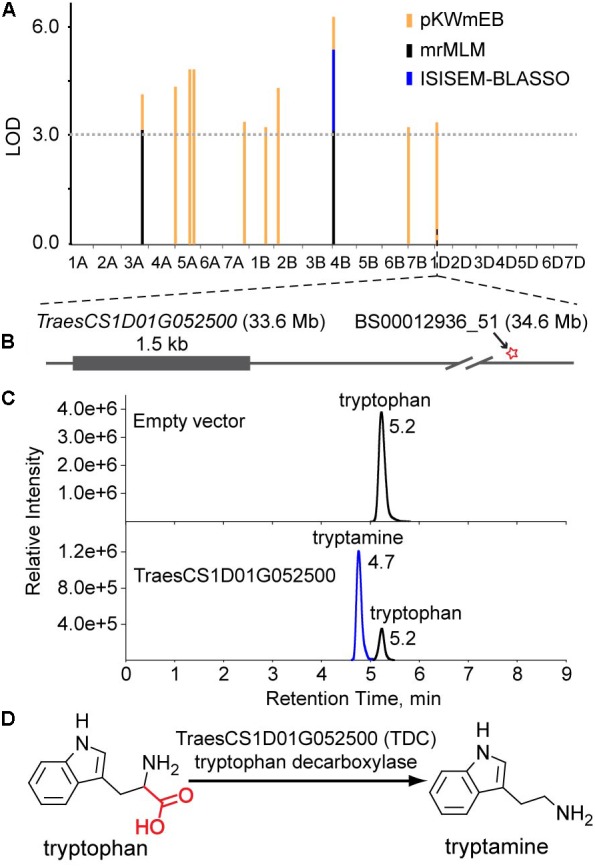 FIGURE 4