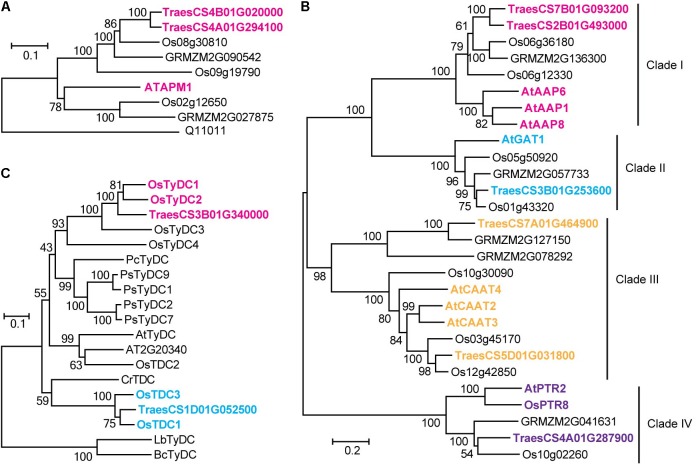 FIGURE 3