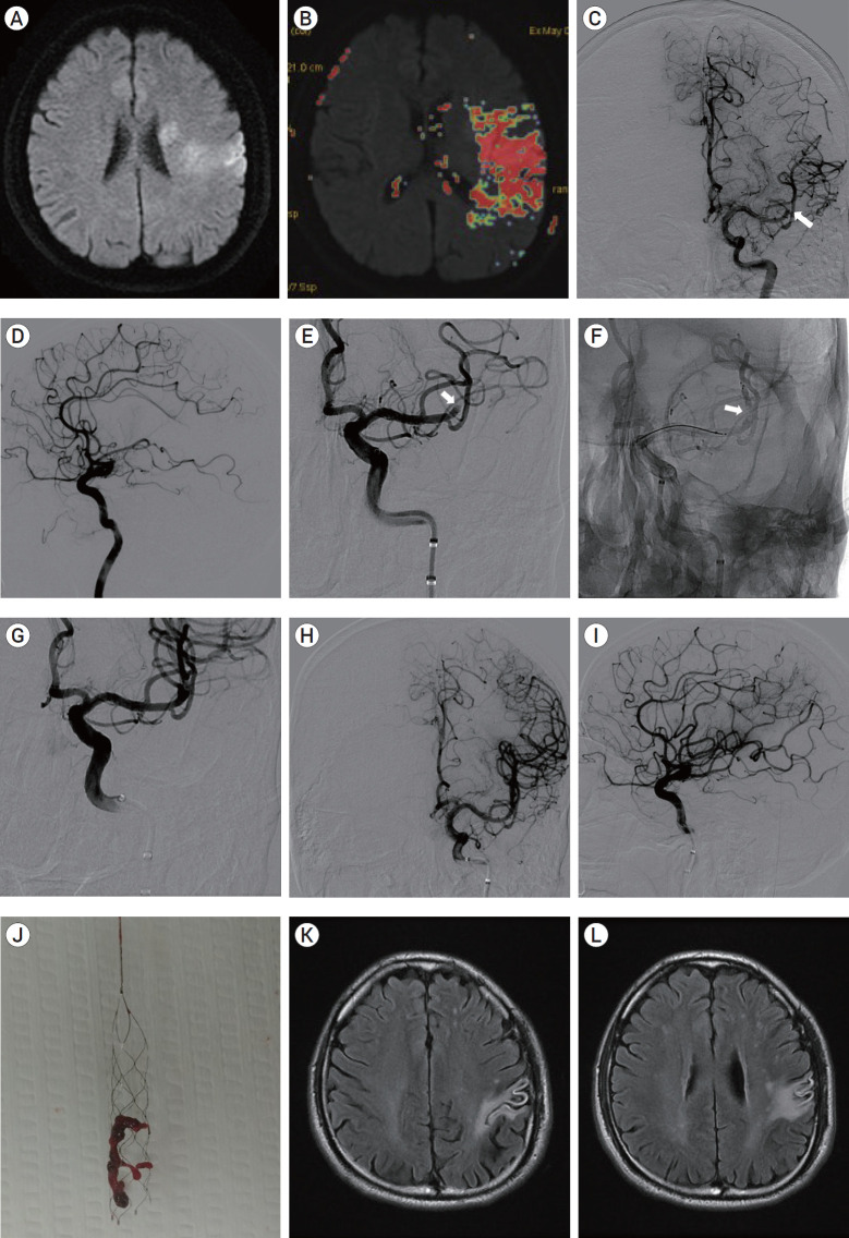 Fig. 1.