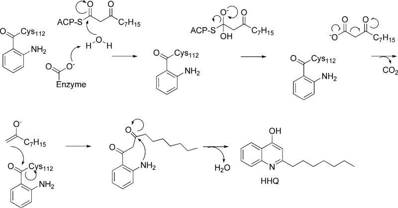 Scheme 3