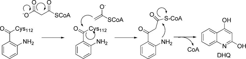 Scheme 2