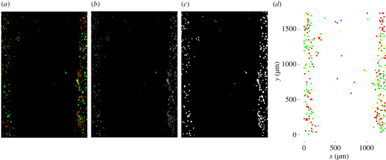 Figure 5. 