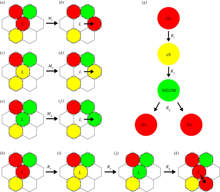 Figure 2. 