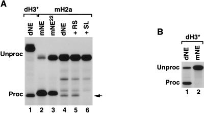 FIG. 5.