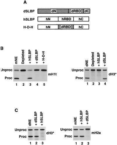 FIG. 9.