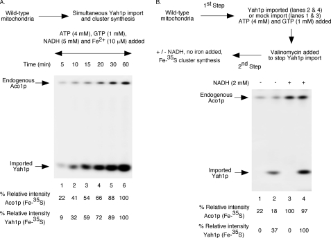 FIGURE 3.