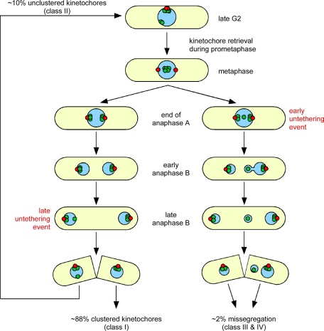 FIGURE 9: