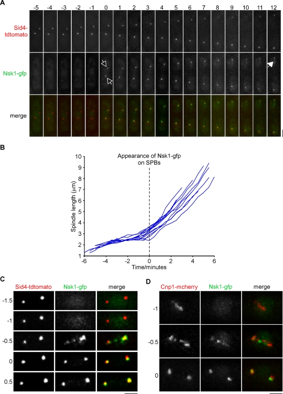 FIGURE 3: