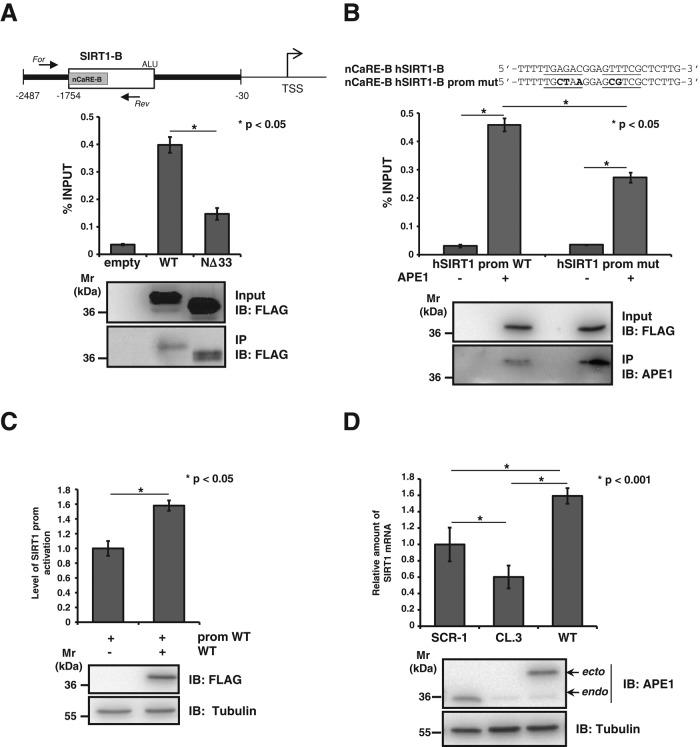 FIGURE 4: