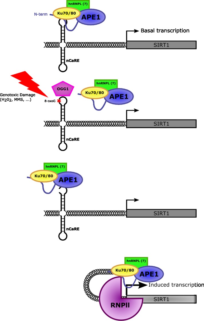 FIGURE 6: