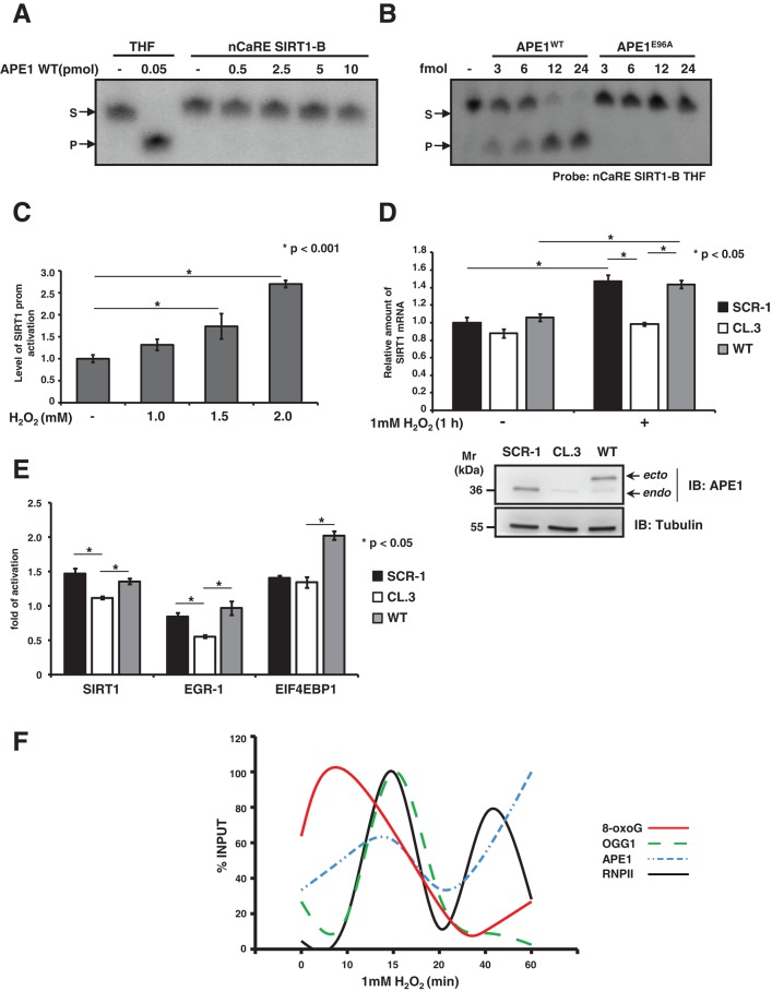 FIGURE 5: