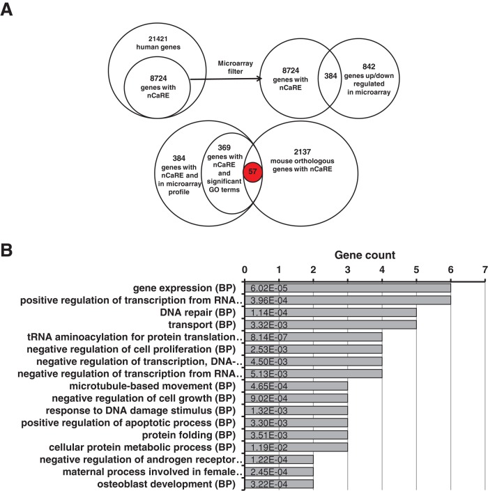 FIGURE 1: