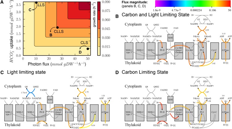 Figure 3.