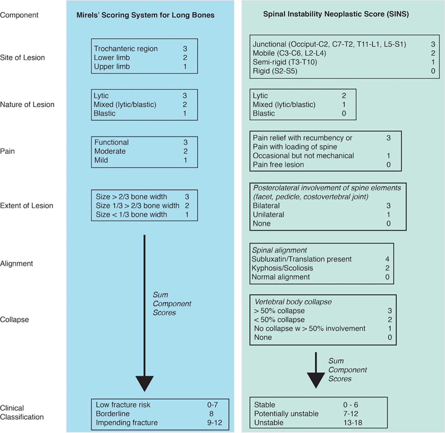 Fracture Risk Assessment and Clinical Decision Making for Patients with ...