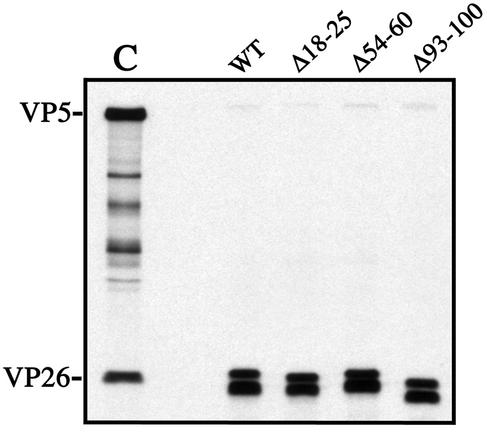 FIG. 5.