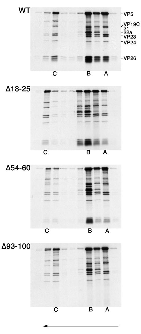 FIG. 6.