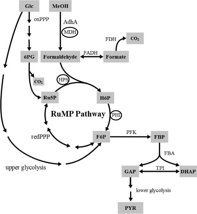 FIG 1