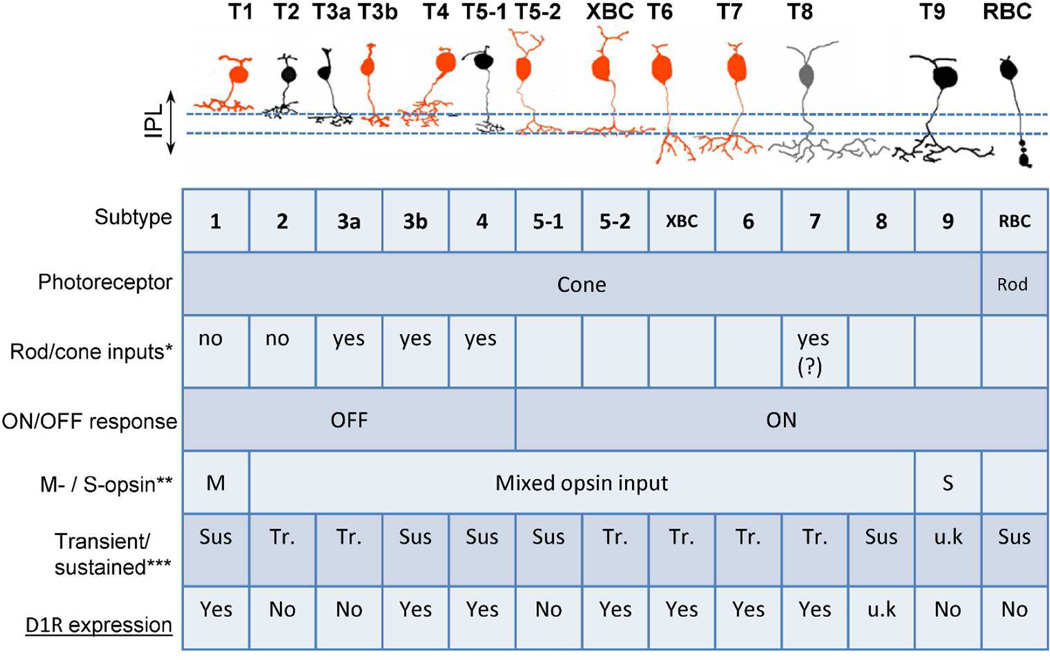 Figure 9