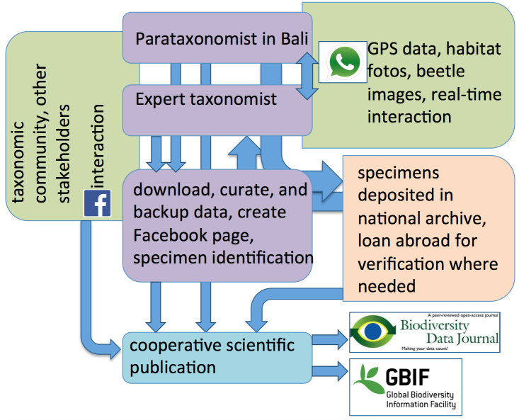 Figure 1.