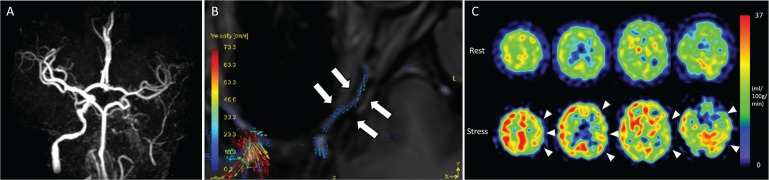 Fig. 4.